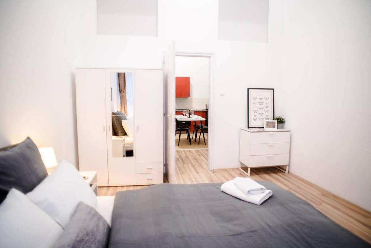 Very Central Spacious Ac Apartment Budapeşte Dış mekan fotoğraf
